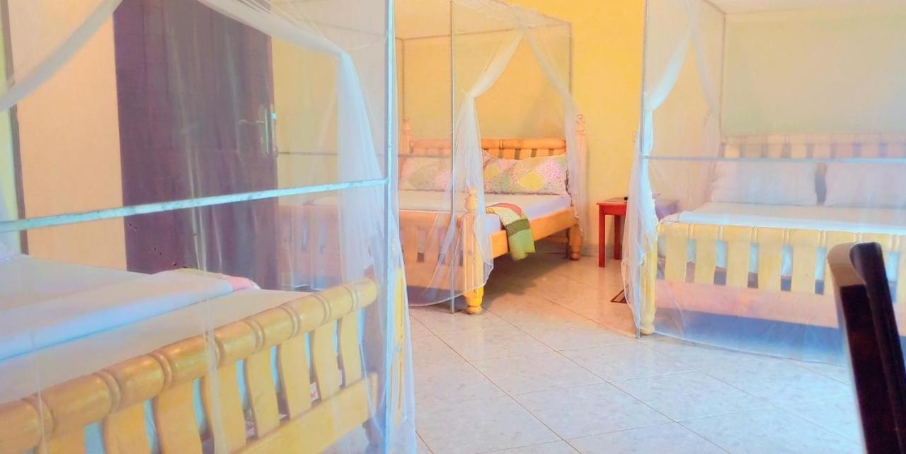 La Feve Beach Bed And Breakfast Entebbe Eksteriør billede